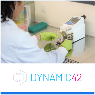 Dynamic42 GmbH